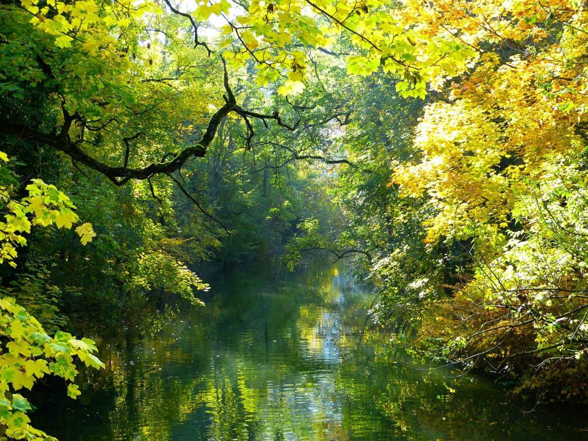 Villa Nina Orth an der Donau Esterno foto